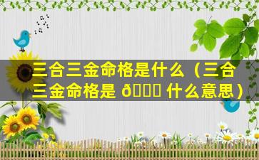 三合三金命格是什么（三合三金命格是 🐅 什么意思）